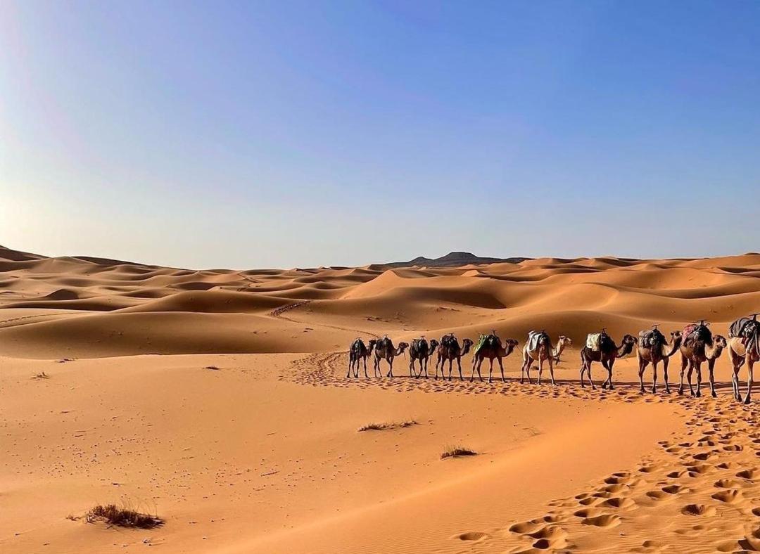 Chegaga Desert Trips Camp M'Hamid Kültér fotó